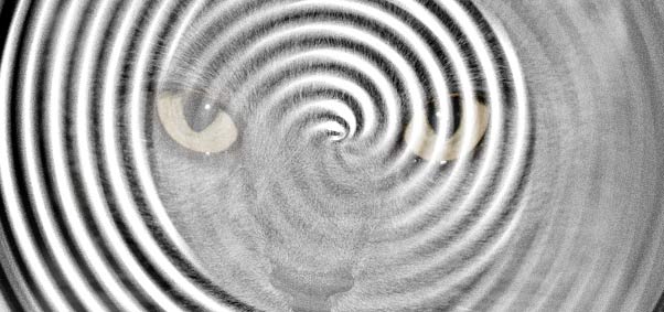 Hypnotic swirl with the mesmerising stare of a house-cat peering out. Obviously.