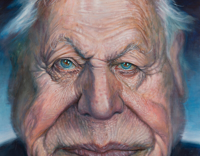 David Attenborough portrait by Derren Brown