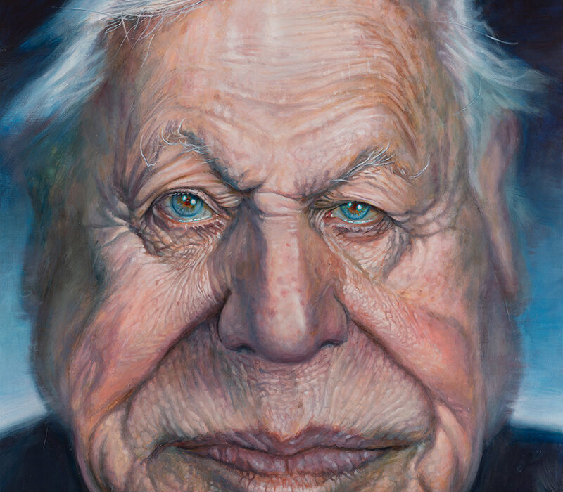 David Attenborough portrait by Derren Brown